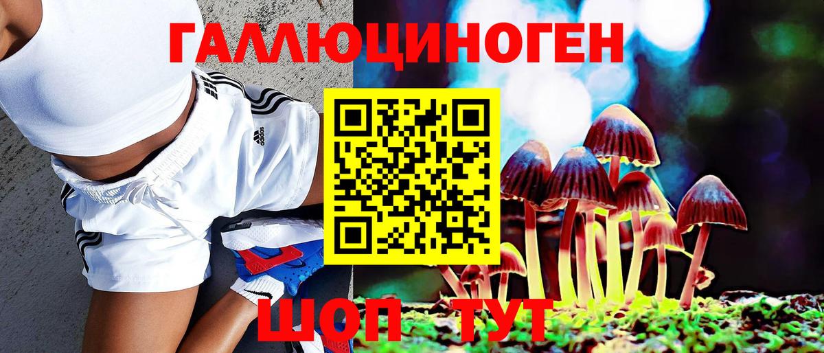 Псилоцибиновые грибы GOLDEN TEACHER Шарыпово